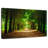 Sireci Park Tunnel Trees-108913524