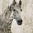 " Glaeta Horse " by Irena Orlov-24368036-17900105