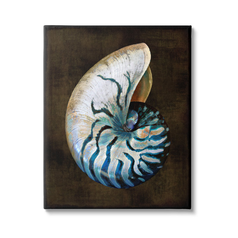 Nautilus foncé foncé par Caroline Kelly, H 48 po x l 36 po x P 1,5 po