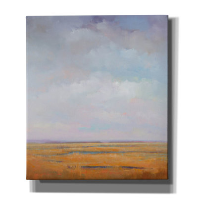 'Midday Marsh' by William Mccarthy, Canvas Wal Art