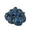Sulawasi Blue Shells