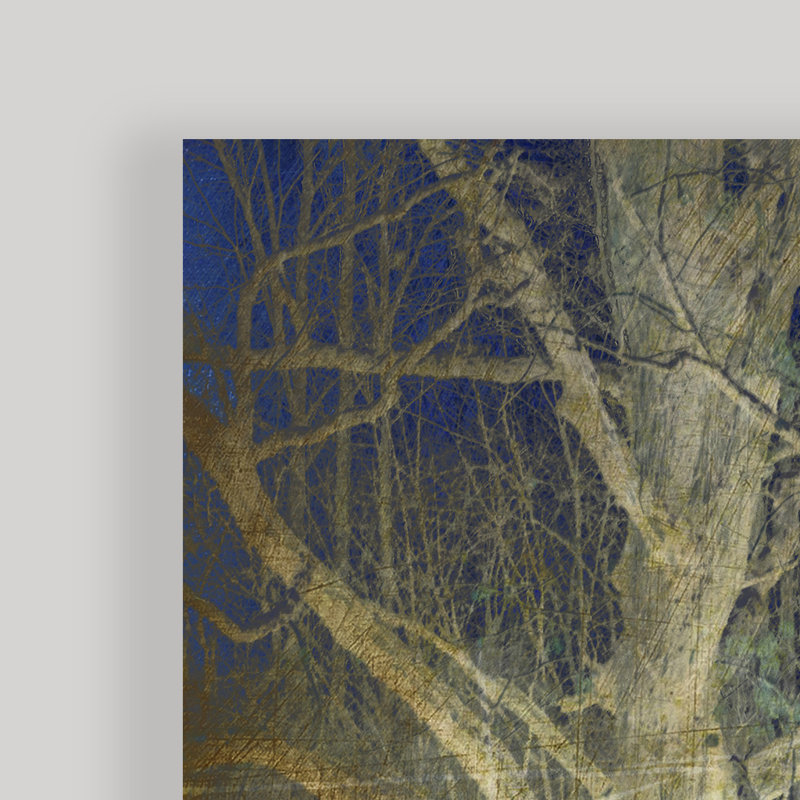 «Antiquated Grain», ensemble de 4 images multiples