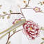 Floral Scalloped Window Valance-272795614