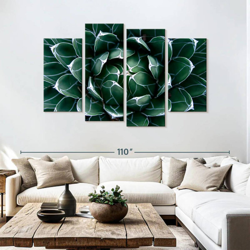 Agave Harnek Queen Victoria, H 54 po x l 84 po