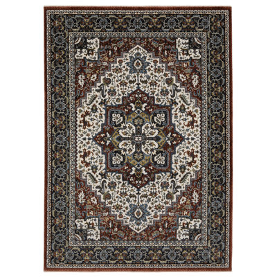 Sorusch Oriental Indoor Rug