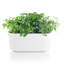 Ceramic Window Box Planter-59362338