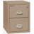 Fireproof 2 Steel Vertical Filing Cabinet-12136690-216453-139380639