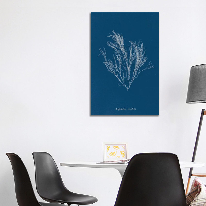 Delicate Coral III by Wild Apple Portfolio - Wrapped Canvas Gallery-Wrapped Canvas Giclée, 101.6 cm H  x 66.04 cm W