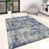 Detweiler Abstract Cotton Area Rug