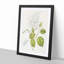 Rangiora Flowers by Sarah Featon - Framed Print-55616479-55616482