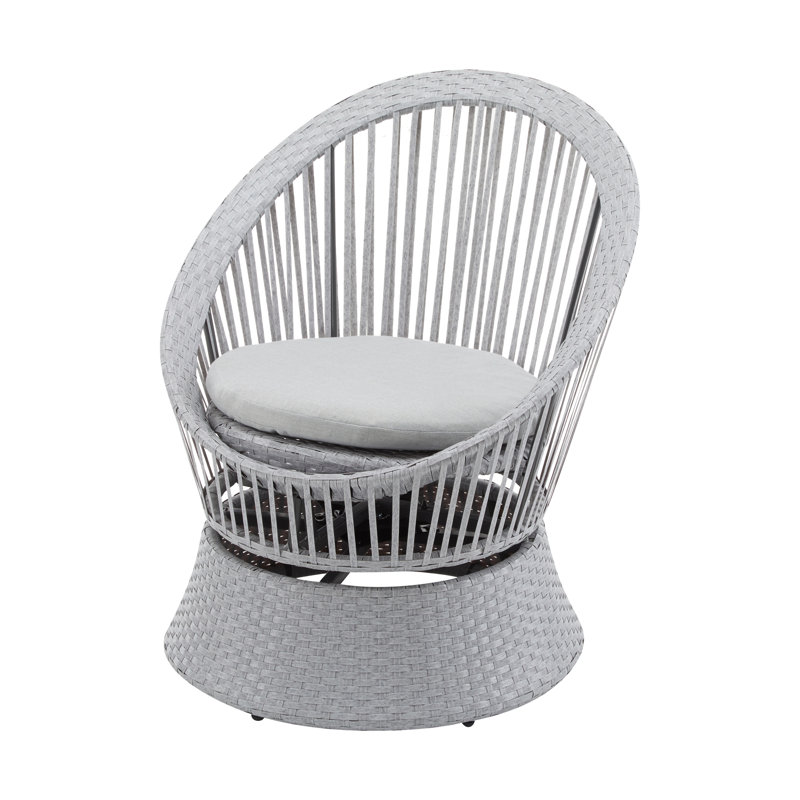 Contemporary Iron And Pe Lounge Chair, Construction Modern 23.75 In. High, Convenient For Storage