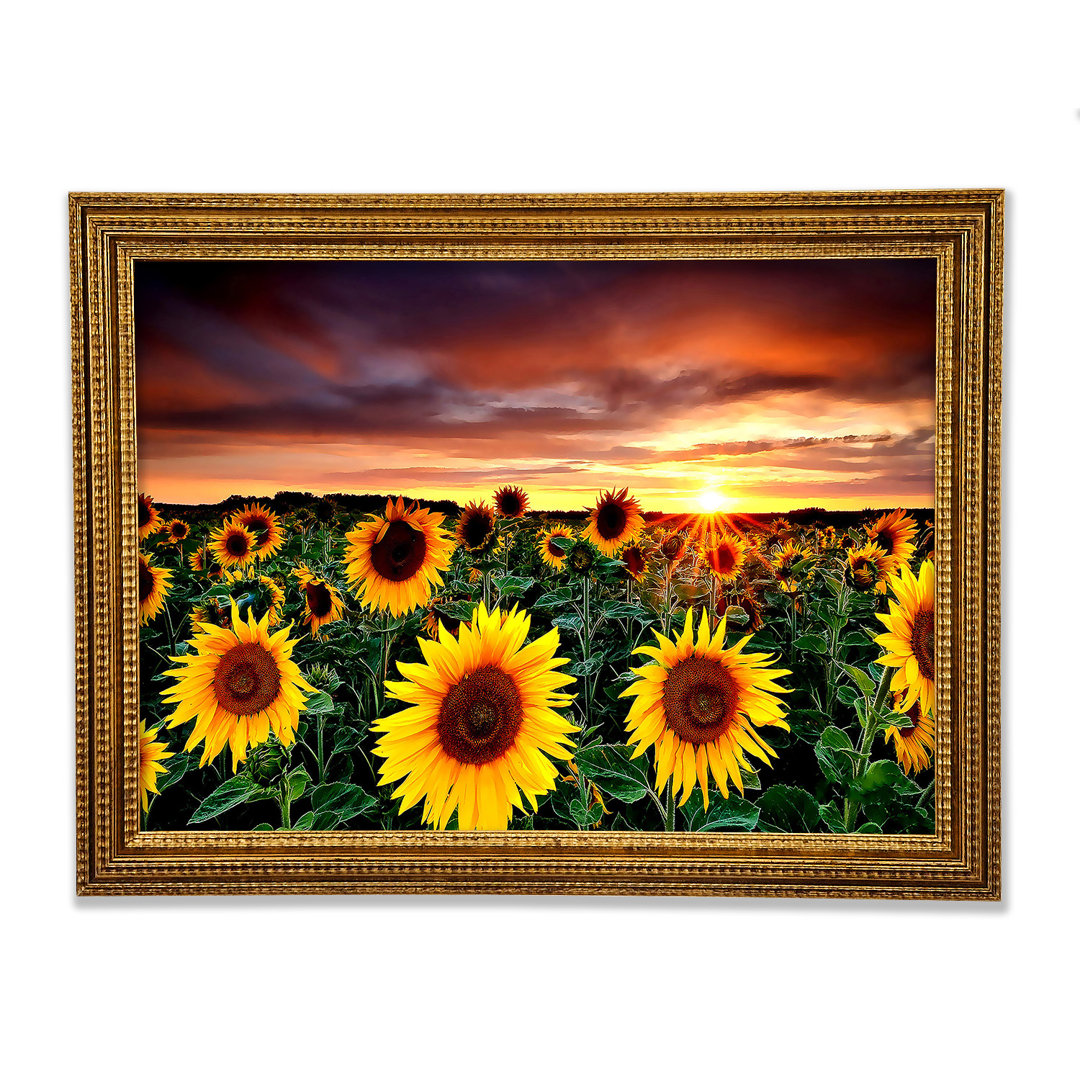 Gerahmter Fotodruck Magic Landscape Sunflower Field