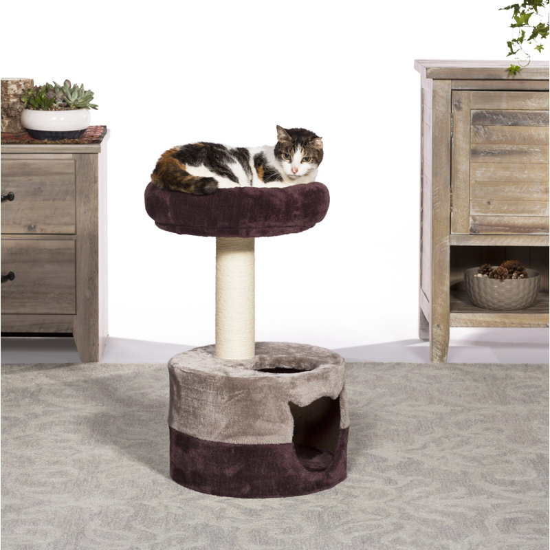 Arbre à chat 25 po Blasko Power Paws