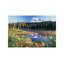 Mt Rainier And Wildflowers At Reflection Lake, Mt Rainier National Park, Washington by Tim Fitzharris - Wrapped Canvas Painting-1333257565