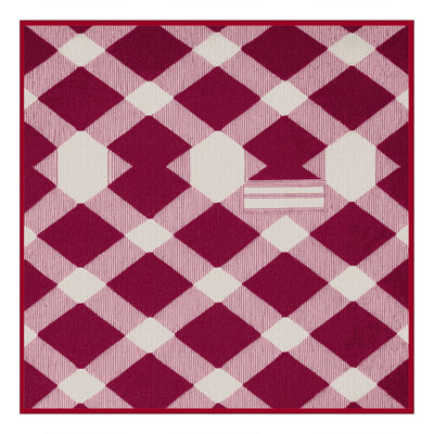 Machine Washable Checkered Red Area Rug