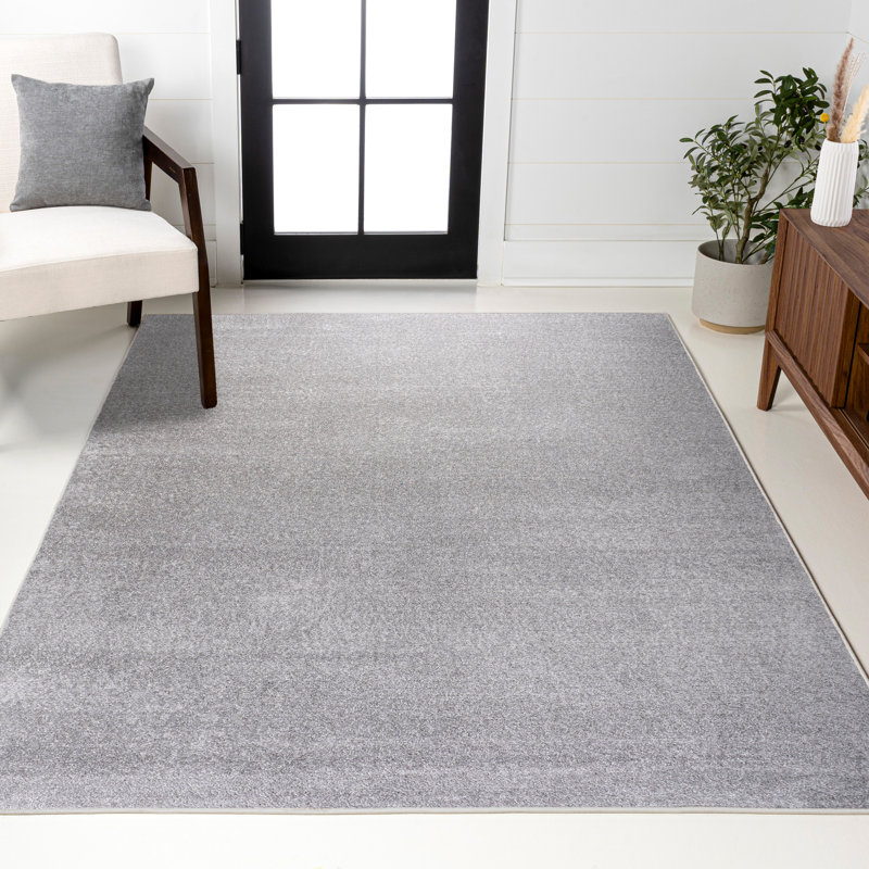Tapis gris clair Asaiah, Rectangle 2 pi 9 po x 5 pi