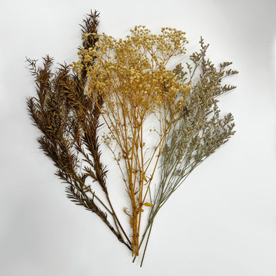 Real Preserved Baby’s Breath Mixed Bouquet – Everlasting Valentine’s Day Flowers, Small / Medium / Large