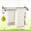 Claris 49cm 2 Wall Towel Bar