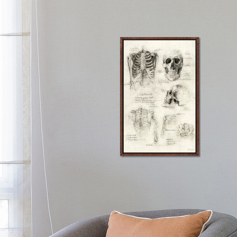 Skeleton 1 Piece Wall Art on Canvas, 66.04cm H x 45.72cm W x 3.81cm D, Classic Brown Wood Framed