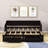 Eftimie Twin Size 2 Drawers Daybed with Trundle-1912511285