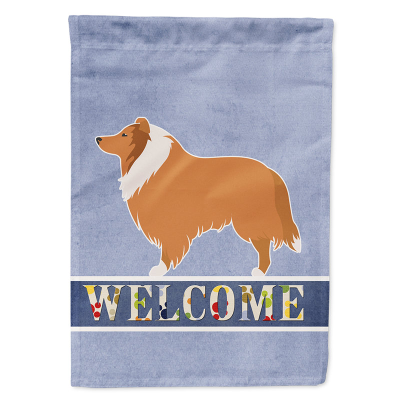 Polyester 2 côtés 40 x 28 po welcome drapeau maison, Colley