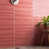 Wild Coralito Pink selected