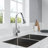 WoodBridge Pull Down Kitchen Faucet-50287843