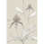 Linen/White
