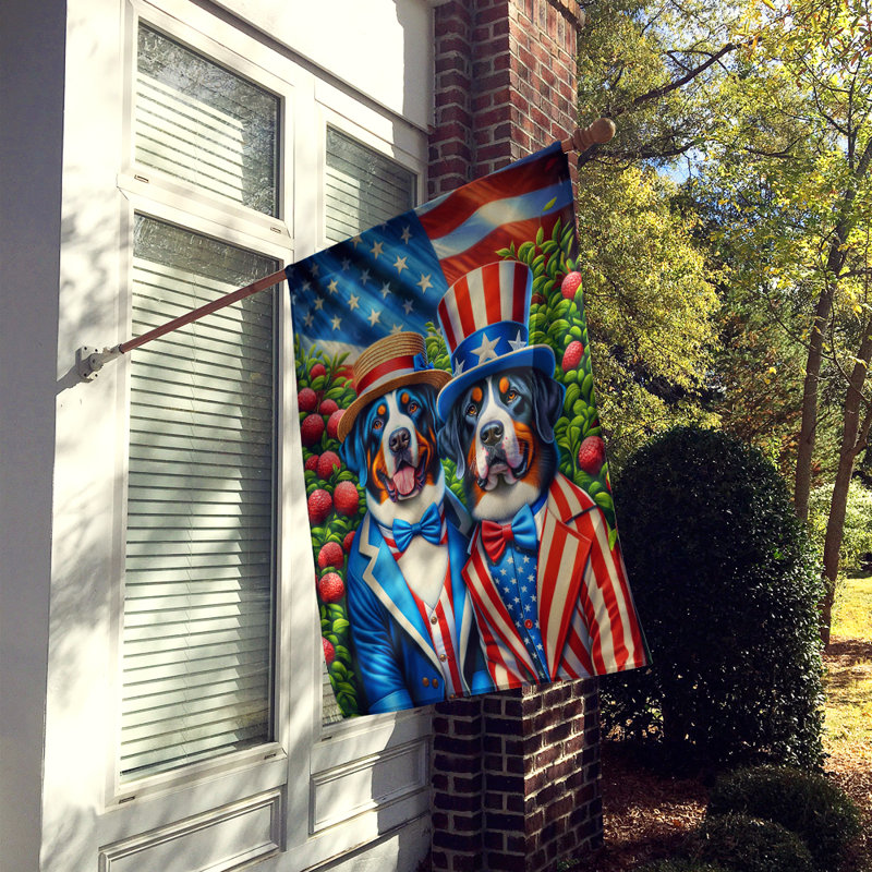 Drapeau «All American House», Grand bouvier suisse