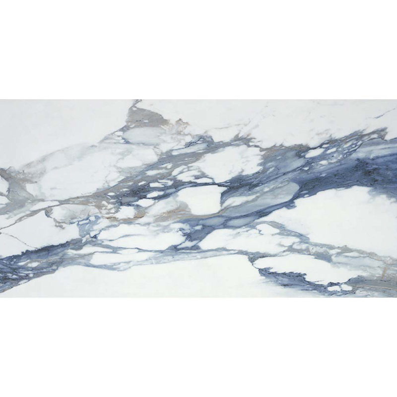 Splendor 23.62'' W x 47.25'' L Porcelain Singular Tile, Blue