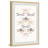 " Dragonfly Rows "-1364080575