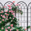 Treillis de jardin pour supporter les plantes grimpantes, utilisation à l'extérieur-620235583