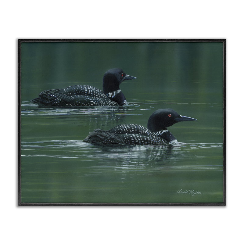 «Peaceful Loon Duo», estampe numérique par Valerie Rogers, H 11 po x l 14 po, Giclée encadrée noir minuit