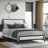 Lucero Upholstered Platform Bed-1495167189