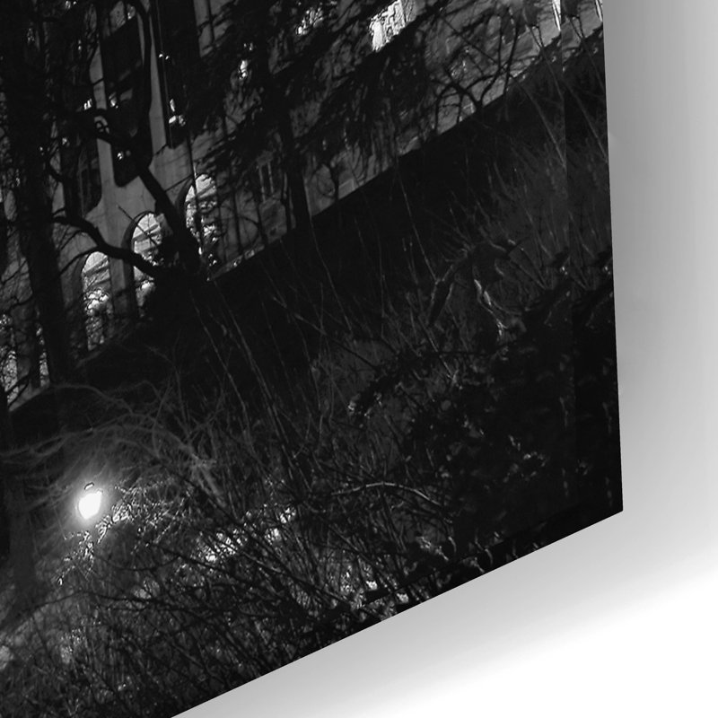 «Central Park View» par Photoinc Studio, art mural en verre acrylique, 24 po x 16 po, H 16 po x l 24 po x P 0,2 po
