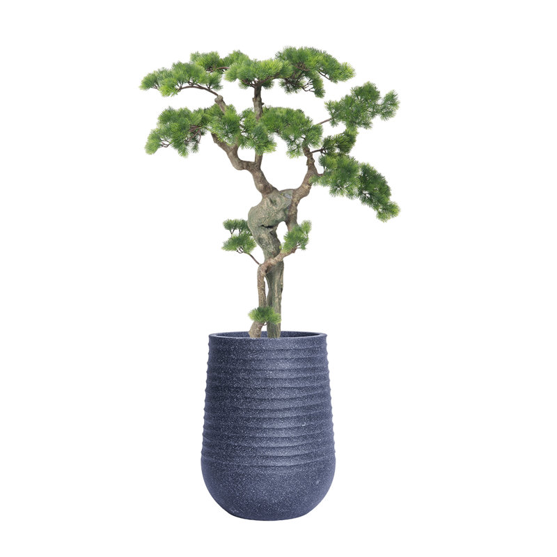 H 56,08 po Bonsai d'une beauté réelle, Bleu