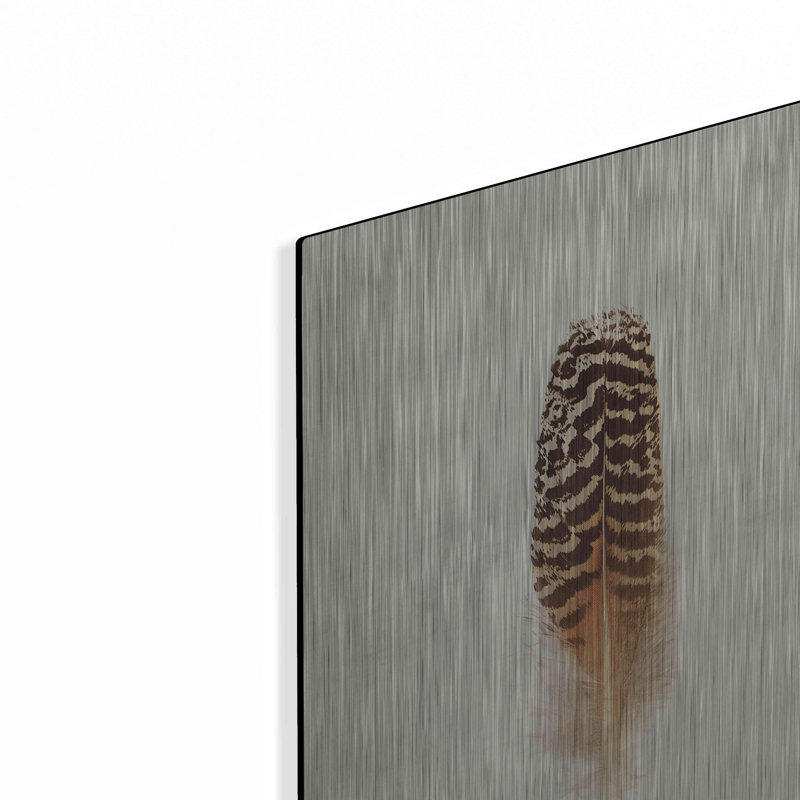 «Feather I» par Debra Van Swearingen, H 16 po x l 12 po