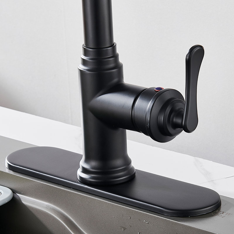 Robinet de cuisine à poignée simple avec plaque de pont FURUISI, Noir mat
