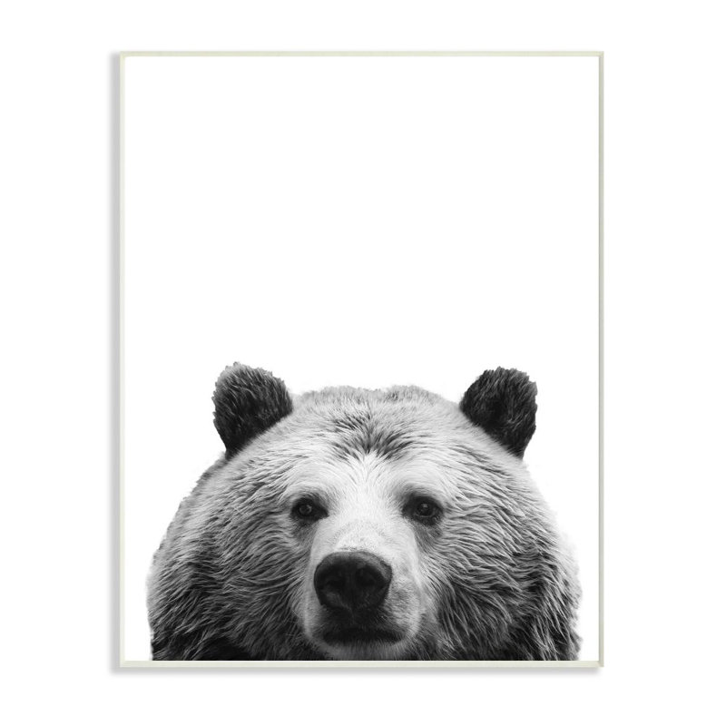 « bear head animal design », impression sur toile, Plaque murale, H 15 po x l 10 po x P 0,5 po