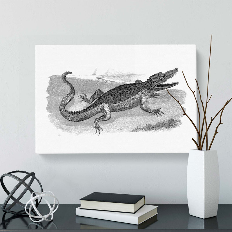 Crocodile In Black & White by George Shaw - Wrapped Canvas Print, 40cm H x 60cm W x 3cm D