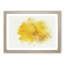 Sole Yellow Daffodil in Abstract - Picture Frame Painting Print-55726429-55726436