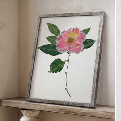 PressedCamelliaI Framed Print - Solid Wood