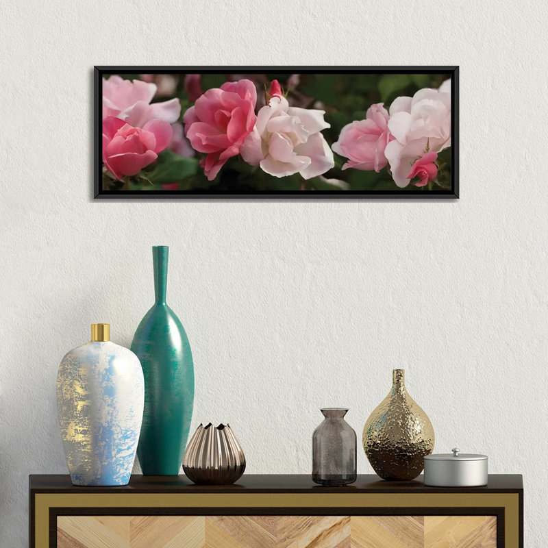 Gros plan de roses roses et blanches par Panoramic Images - Reproduction de giclée sur toile tendue avec châssis