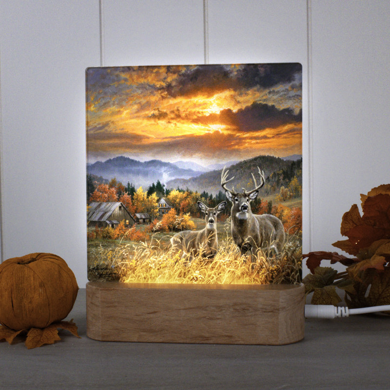 November Light Night Light