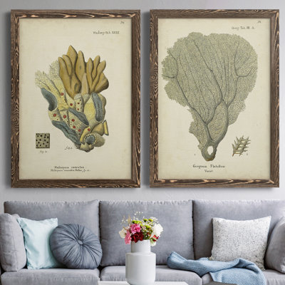 " Ecru Coral III " 2 - Pieces