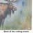 Moose Glass Cutting Board Large