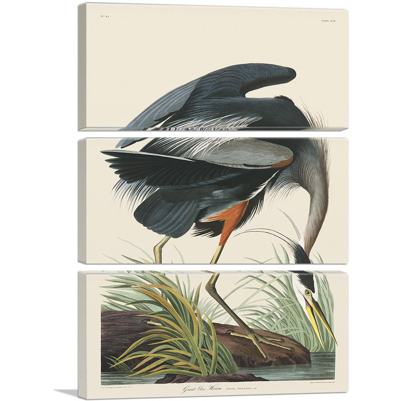 «Great Blue Heron» par James Audubon - ensemble de 3 reproductions d'art sur toile tendue, H 60 po x l 40 po x P 0,75 po