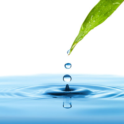 " Drop From Leaf " by Somchaij