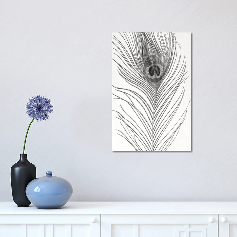 Peacock Feather Mono by Alyson Fennell - Wrapped Canvas Gallery-Wrapped Canvas Giclée, 30.48 cm H x 45.72 cm W