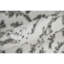Tapis gris / ivoire Calam-747491009